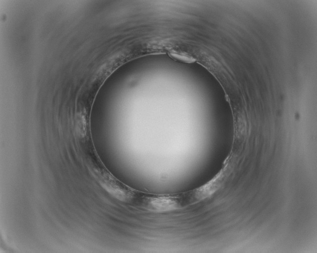 X0000068310183200604211213