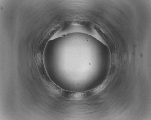 X0000068310184200604211213