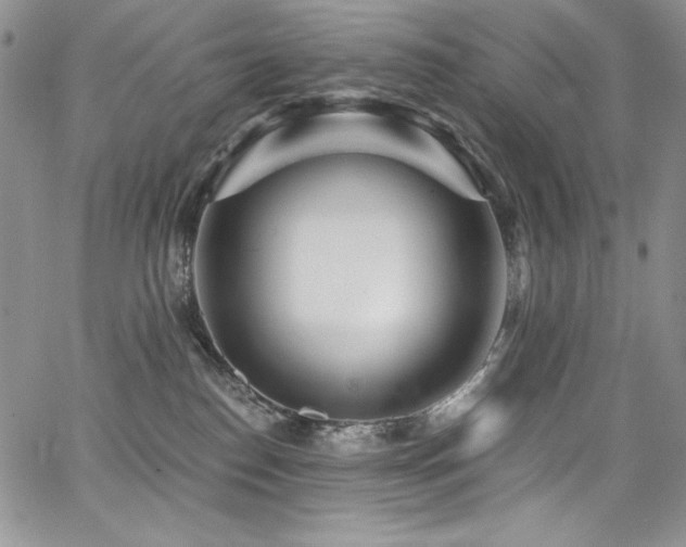 X0000068310186200604211213