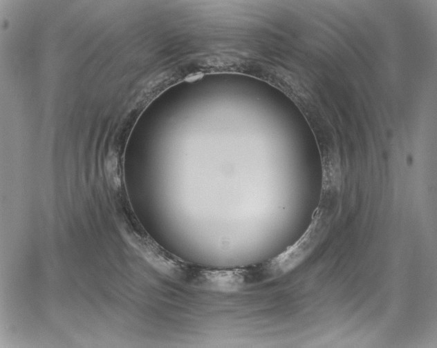 X0000068310187200604211213