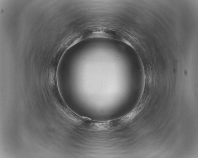 X0000068310188200604211213