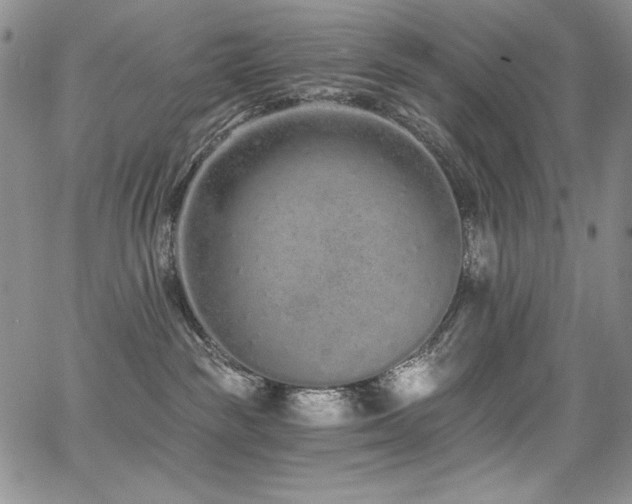 X0000068310189200604211213