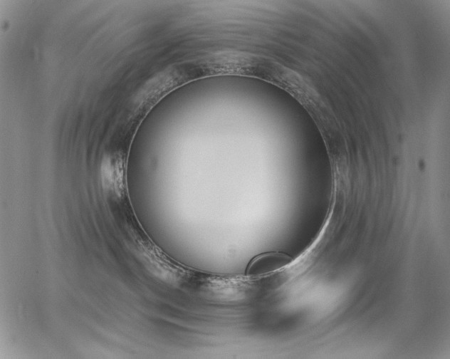 X0000068310190200604211213