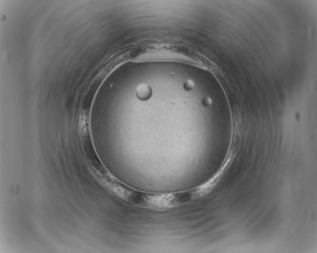 X0000068310191200604211213