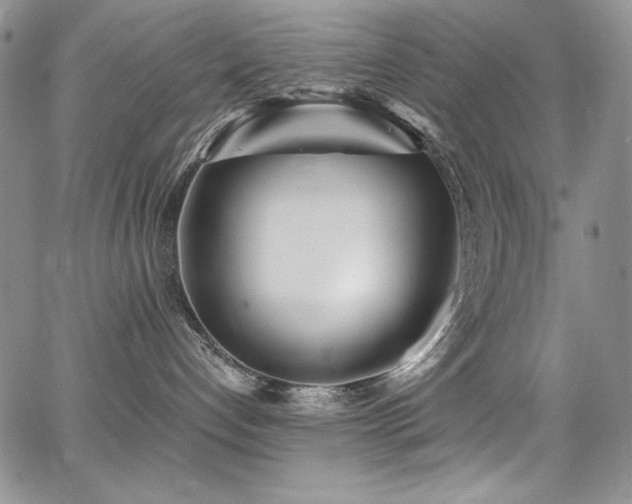 X0000068310192200604211213