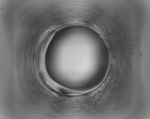 X0000068310193200604211213