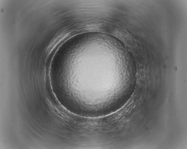 X0000068310194200604211213