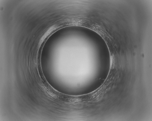 X0000068310195200604211213