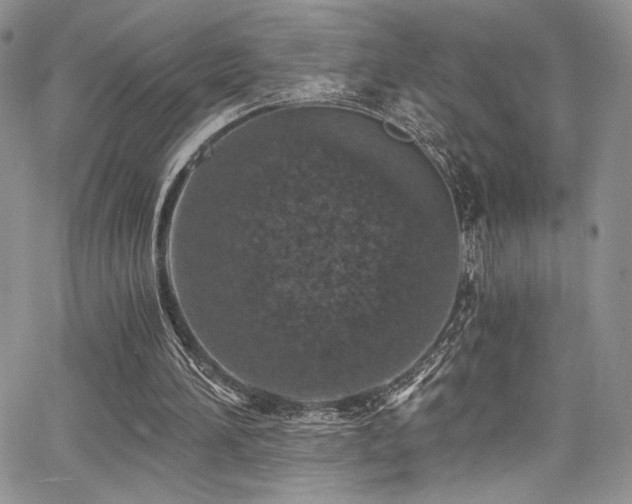 X0000068310196200604211213