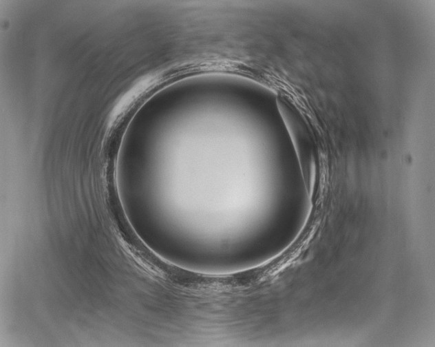 X0000068310197200604211213