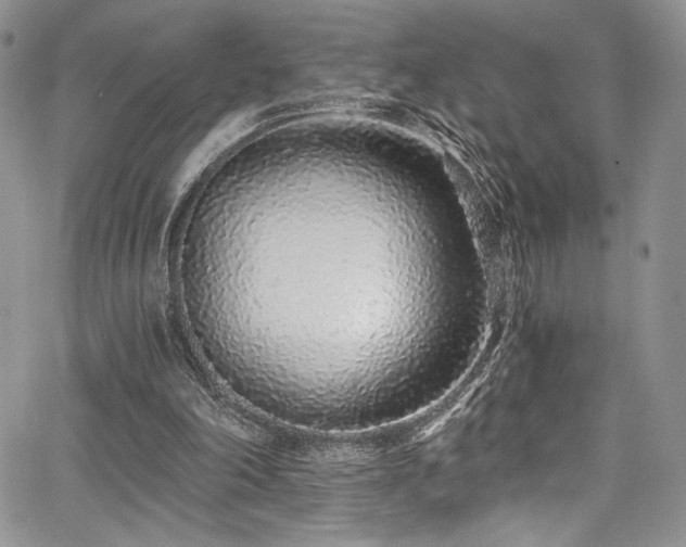 X0000068310198200604211213