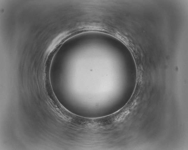 X0000068310199200604211213