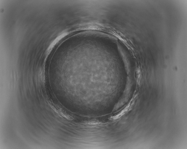 X0000068310200200604211212