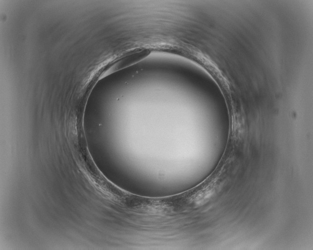 X0000068310201200604211212