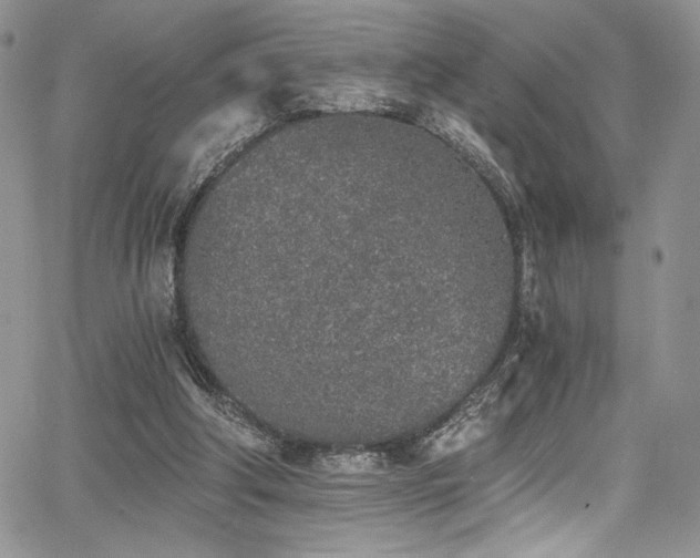 X0000068310202200604211212