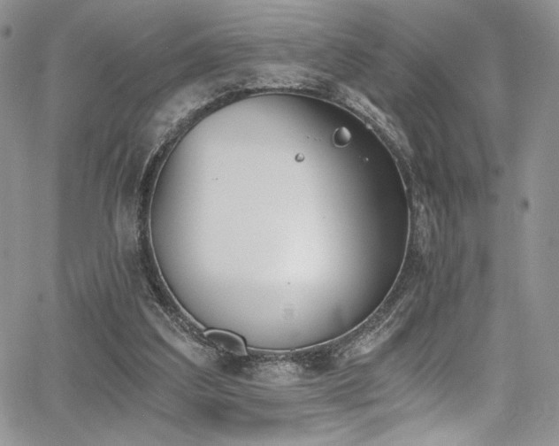 X0000068310203200604211212