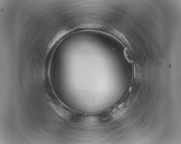 X0000068310204200604211212