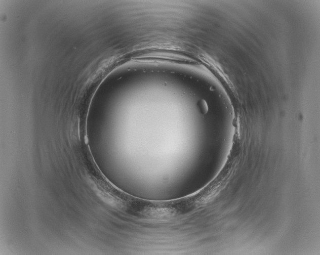 X0000068310205200604211212