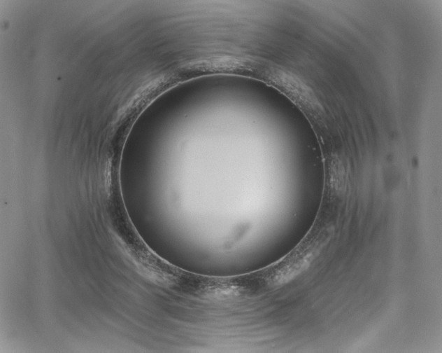 X0000068310206200604211212