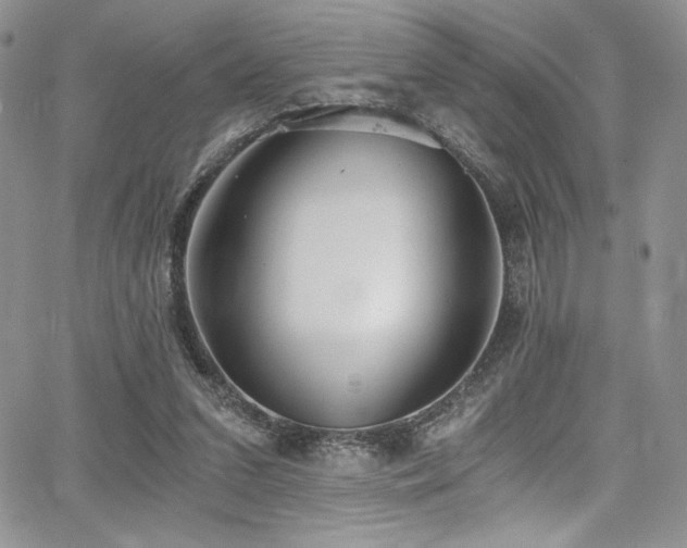 X0000068310207200604211212