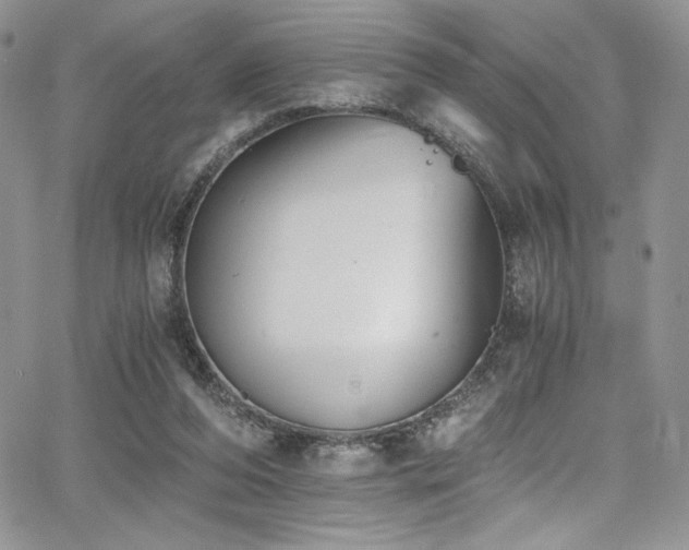 X0000068310208200604211212