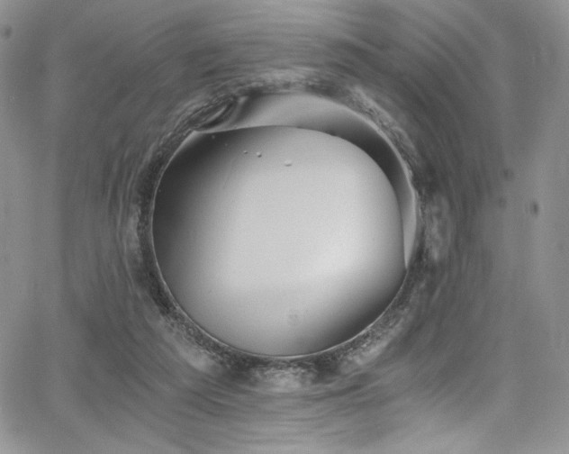 X0000068310209200604211212