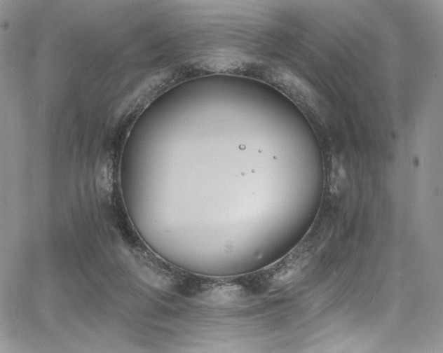 X0000068310210200604211212