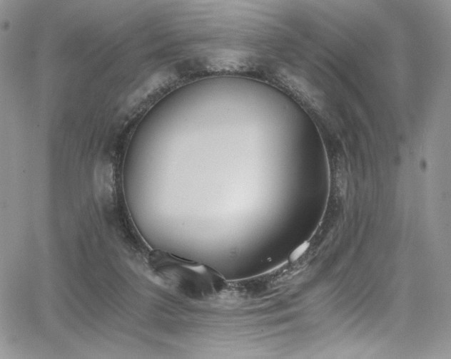 X0000068310211200604211212