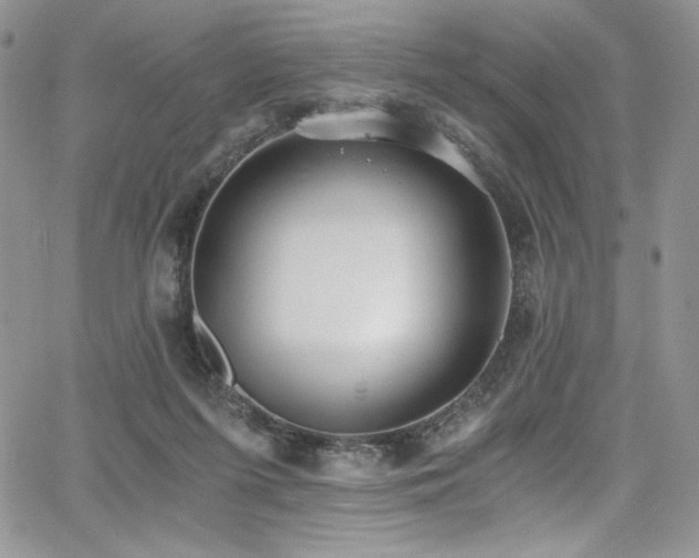 X0000068310215200604211212