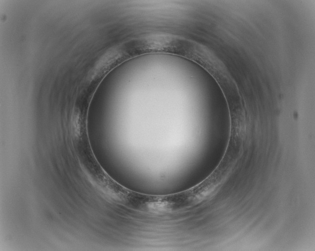 X0000068310216200604211212