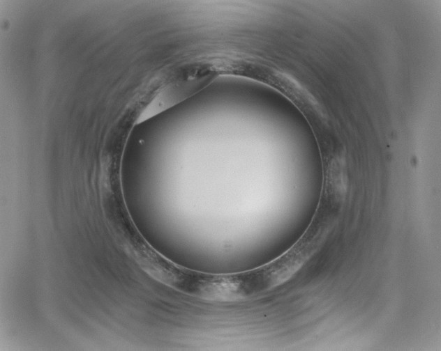 X0000068310217200604211212