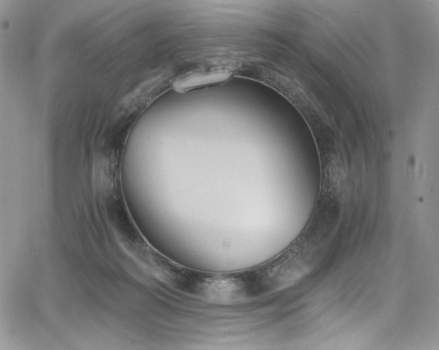 X0000068310218200604211212