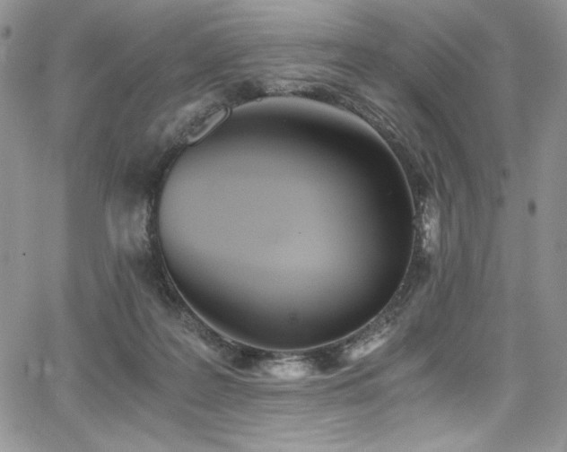 X0000068310219200604211212