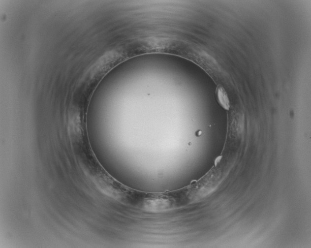 X0000068310220200604211212