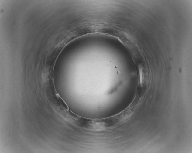 X0000068310221200604211212