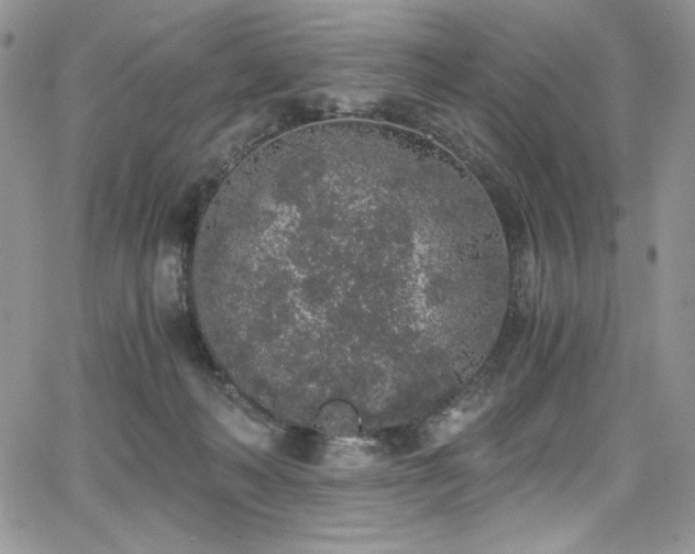 X0000068310222200604211212