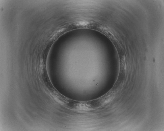 X0000068310223200604211212