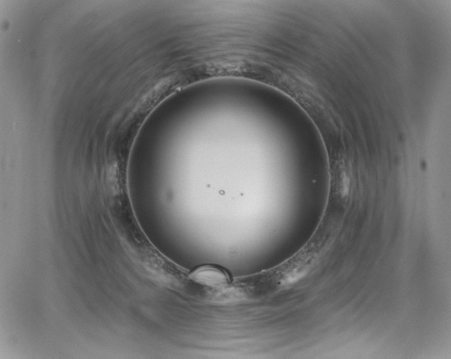 X0000068310224200604211212