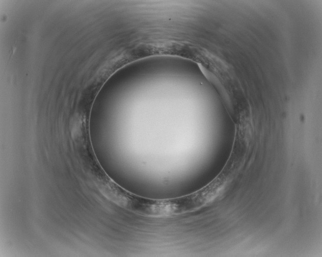 X0000068310225200604211212