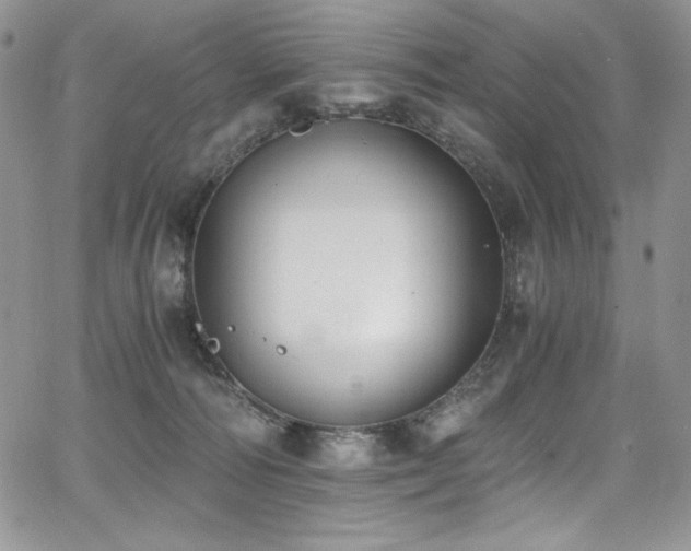 X0000068310226200604211212