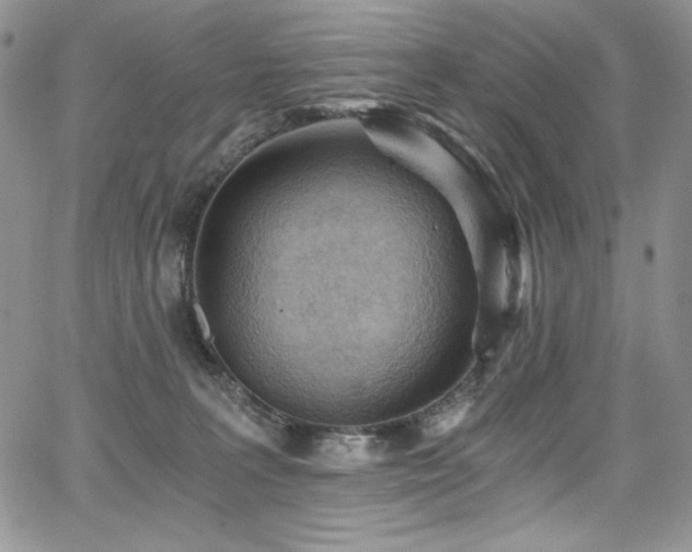 X0000068310227200604211212