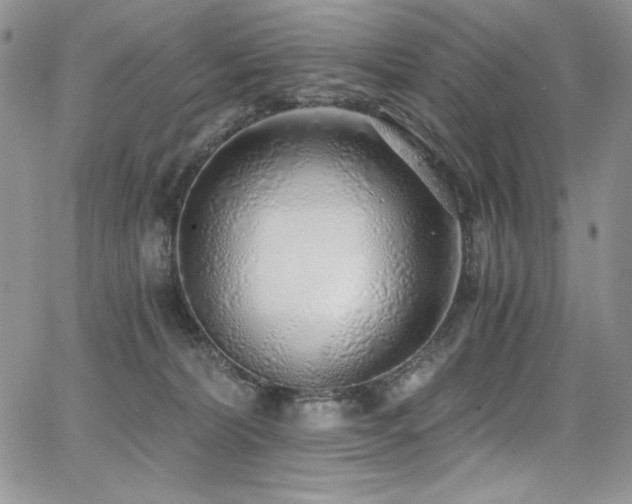 X0000068310228200604211212