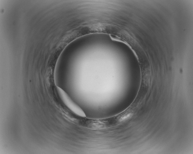 X0000068310229200604211212