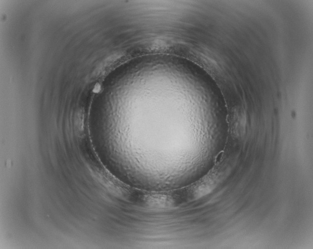 X0000068310230200604211212