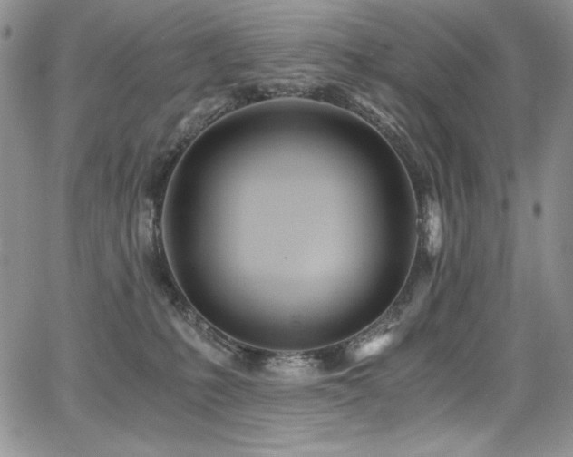 X0000068310231200604211212