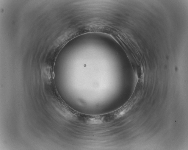 X0000068310232200604211212