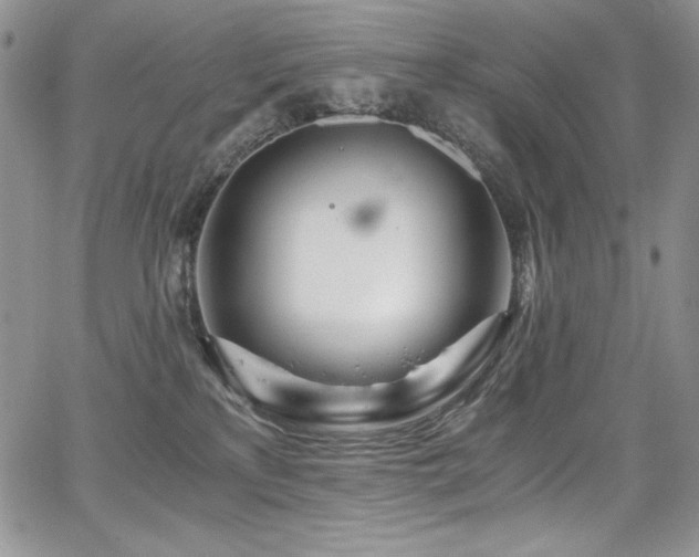 X0000068310233200604211212