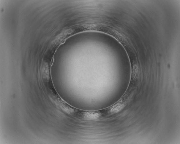 X0000068310234200604211212