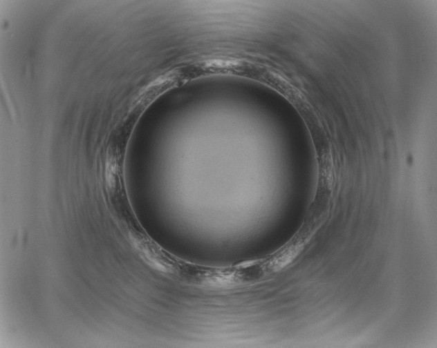 X0000068310235200604211212