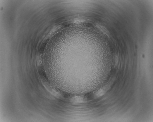 X0000068310236200604211212